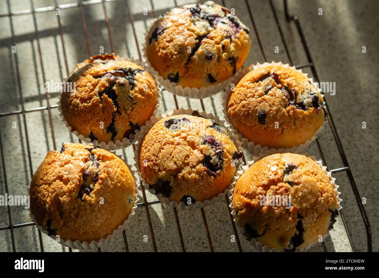 In casa muffin ai mirtilli Foto Stock
