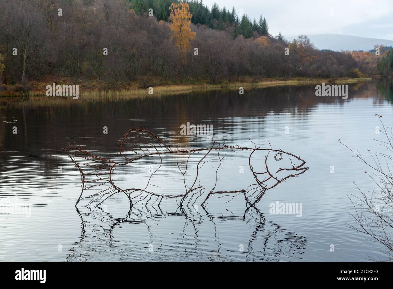 Pike Sculpture di Rob Mulholland Lochan Spling vicino ad Aberfoyle, Scozia Foto Stock