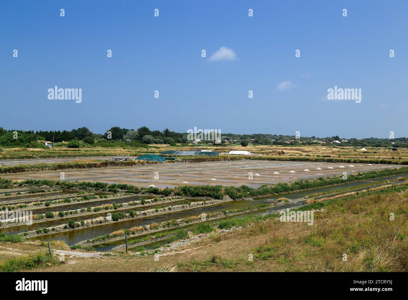 Isola di Noirmoutier, Vendee, Francia. Foto Stock