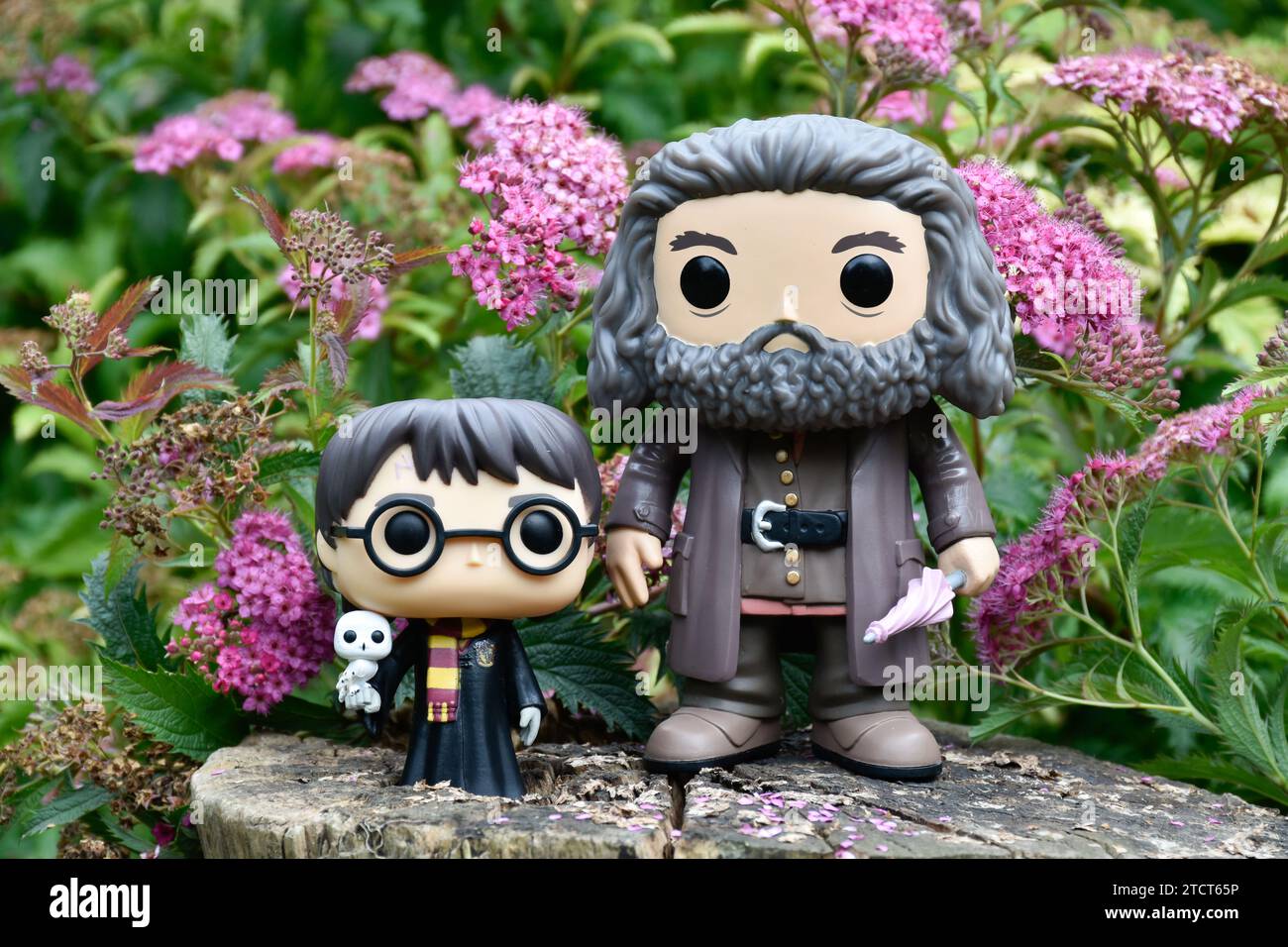 Funko Pop action figure di Harry Potter con gufo e guardiacaccia semigigante Hagrid con ombrello. Fiori rosa, radura forestale, ceppo di alberi, magici. Foto Stock