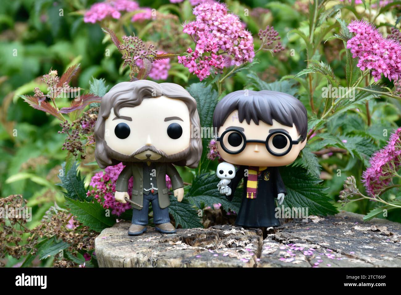 Funko Pop action figure di Harry Potter con gufo e mago Sirius Black in piedi sul ceppo di alberi. Fiori rosa, radura forestale, mondo magico. Foto Stock