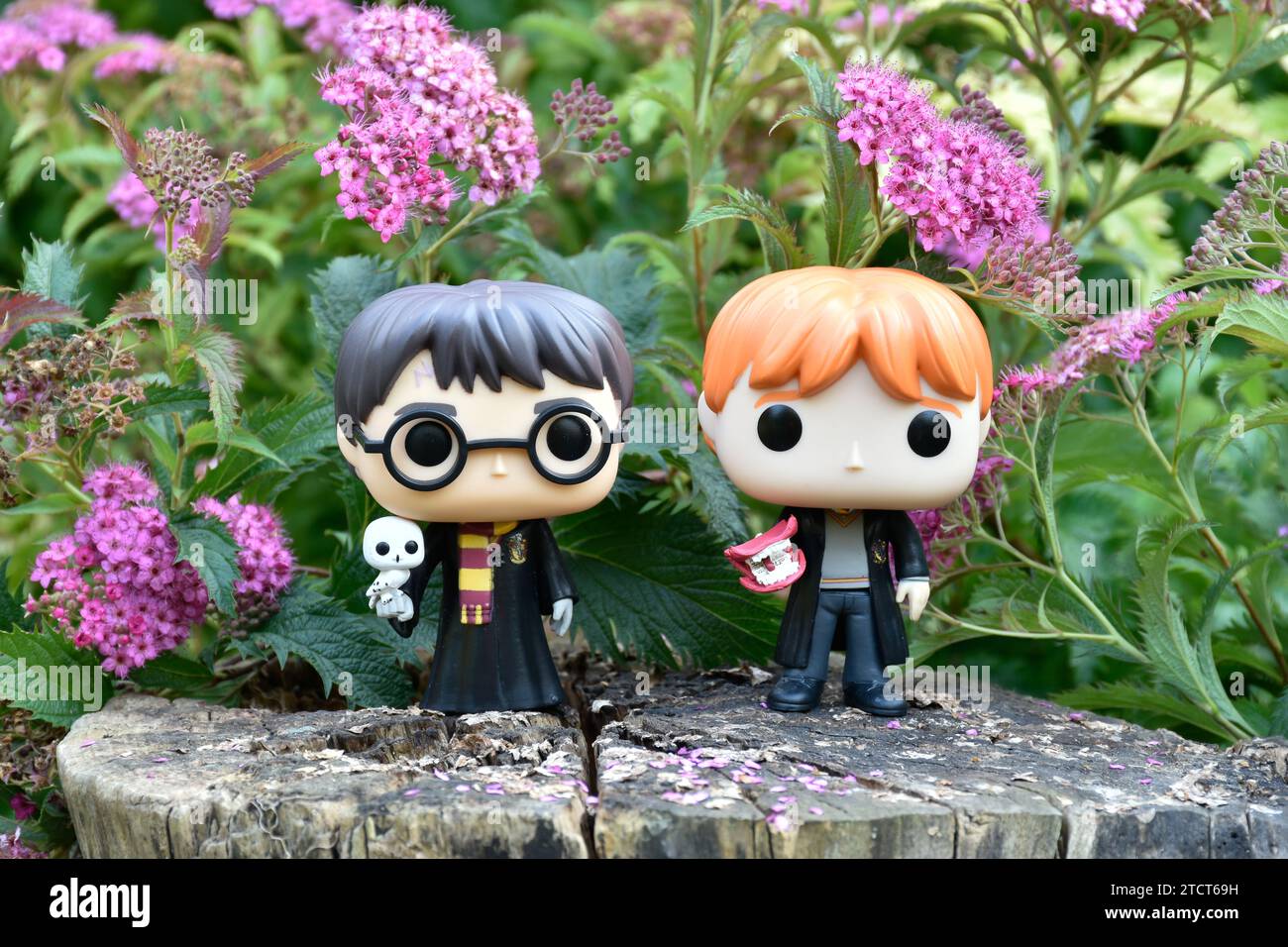 Funko Pop action figure di Harry Potter e Ron Weasley in piedi su un ceppo di alberi. Fiori rosa, radura forestale, legni magici, mondo magico, amici. Foto Stock