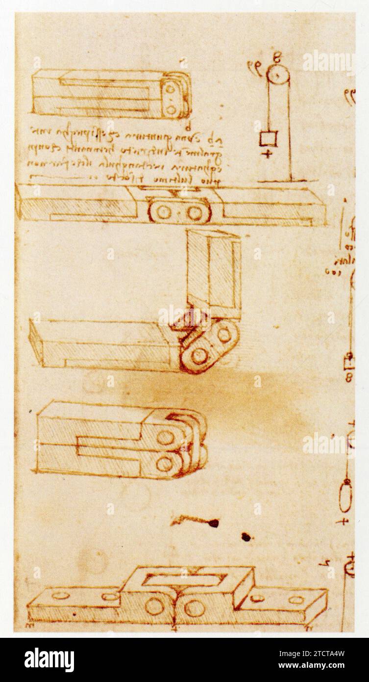 Leonardo da Vinci.1452-1519.Semiarticolare comune. Foto Stock