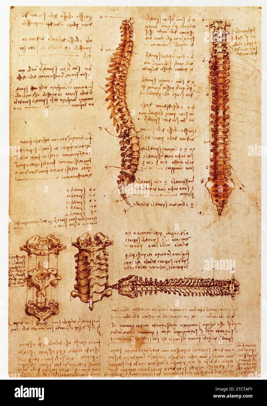 Leonardo da Vinci.1452-1519.études de la colonne verticale. Foto Stock