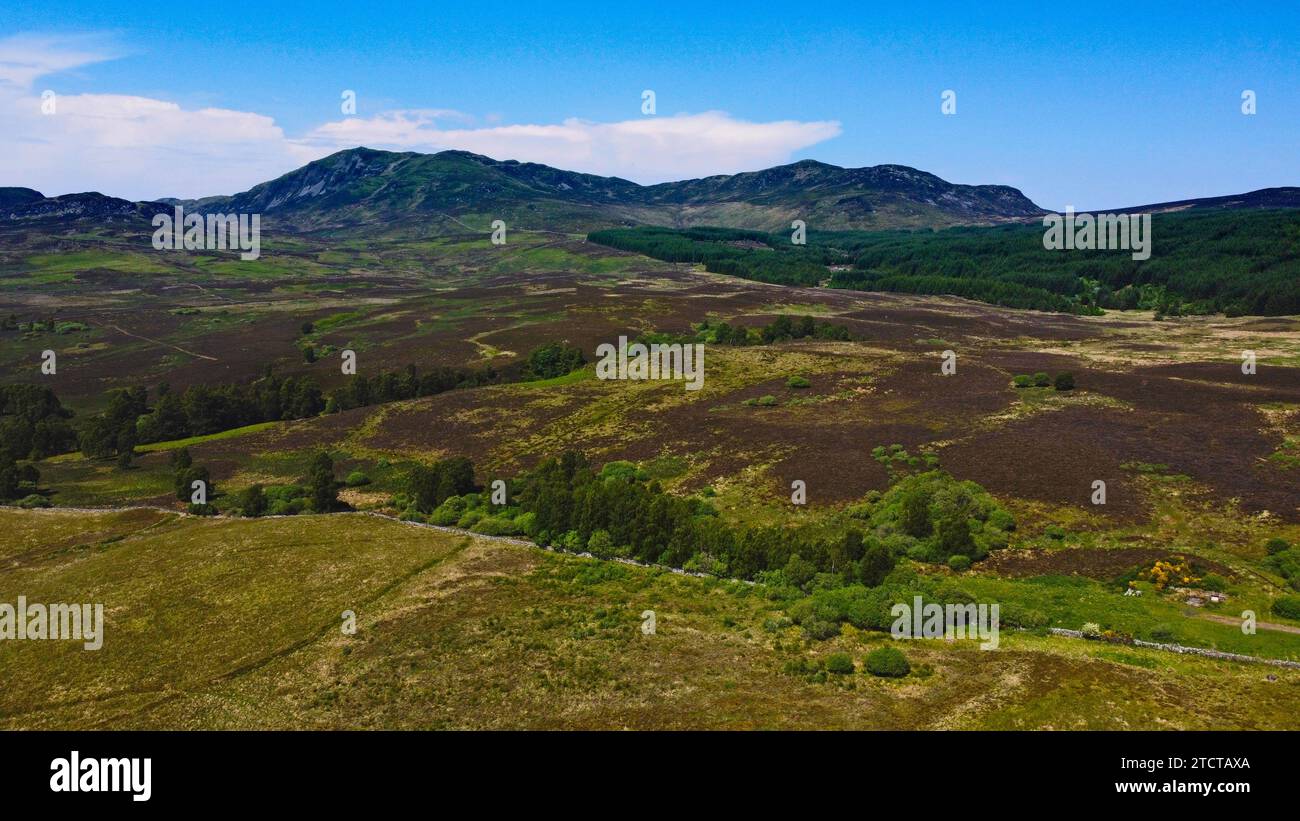 Grouse Moor a sud di Ben y Vrackie vicino a Pitlochry nel Parco Nazionale di Cairngorms nelle Highlands scozzesi della Scozia, Regno Unito - foto: Geopix Foto Stock