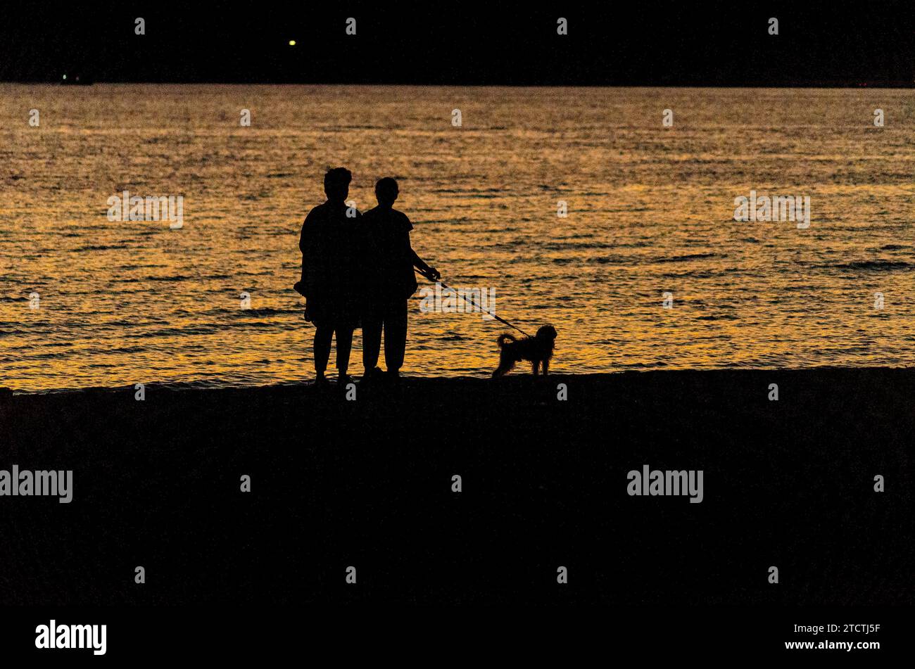 Coppia che cammina il proprio cane sulla spiaggia al tramonto a Palaia Fochaia, sulla Riviera ateniese dell'Attica, Grecia Foto Stock