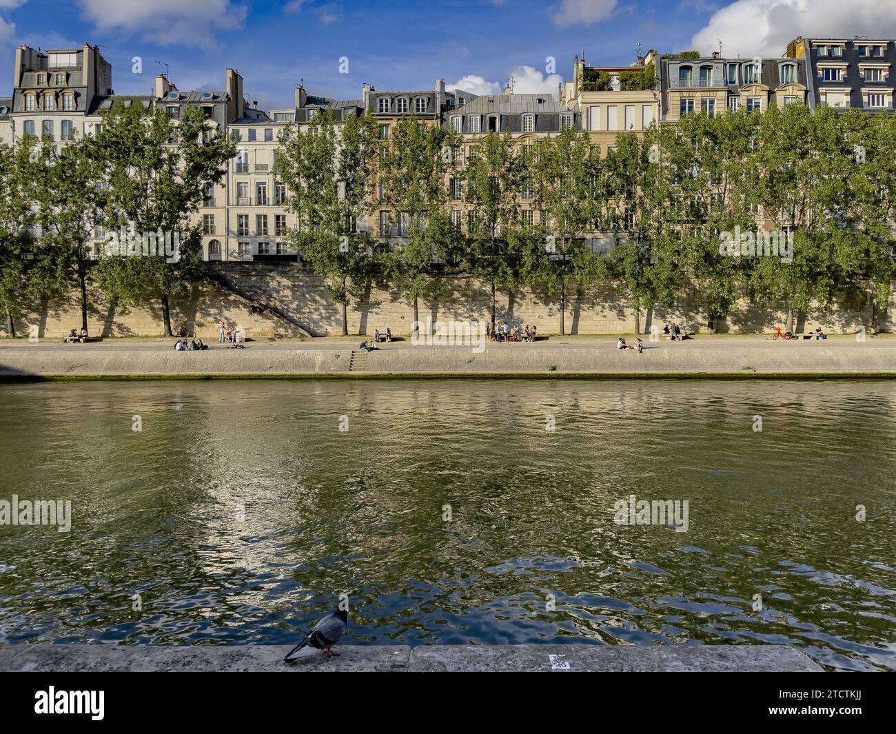 Riva della Senna ed edifici a Parigi, Francia Foto Stock