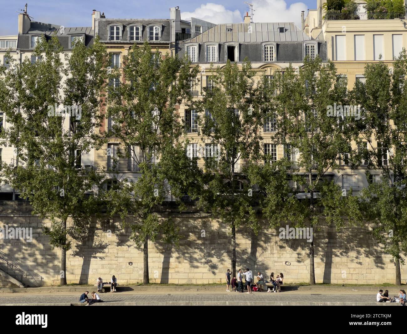 Riva della Senna ed edifici a Parigi, Francia Foto Stock