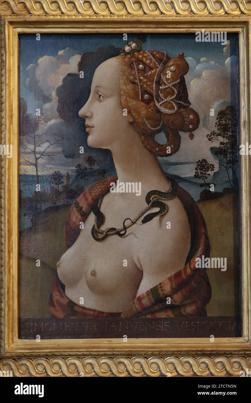 Castello di Chantilly, museo Conde, Chantilly, Oise, Francia. Galleria di pittura. Piero di Cosimo (1462-1521 ?), scuola fiorentina, Simonetta Vespucci Foto Stock