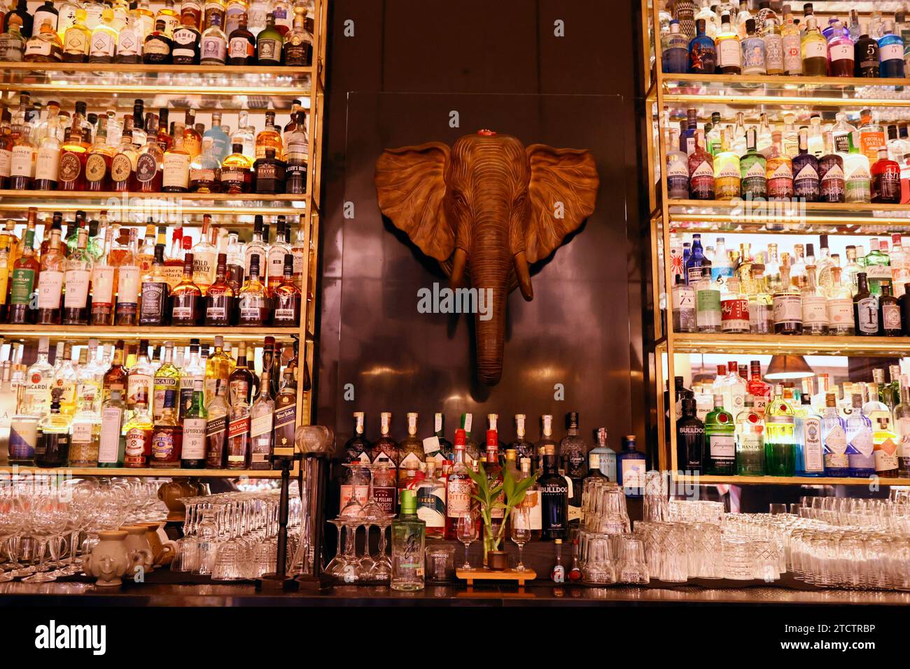 Elephant Bar al Raffles Hotel le Royal. Foto Stock