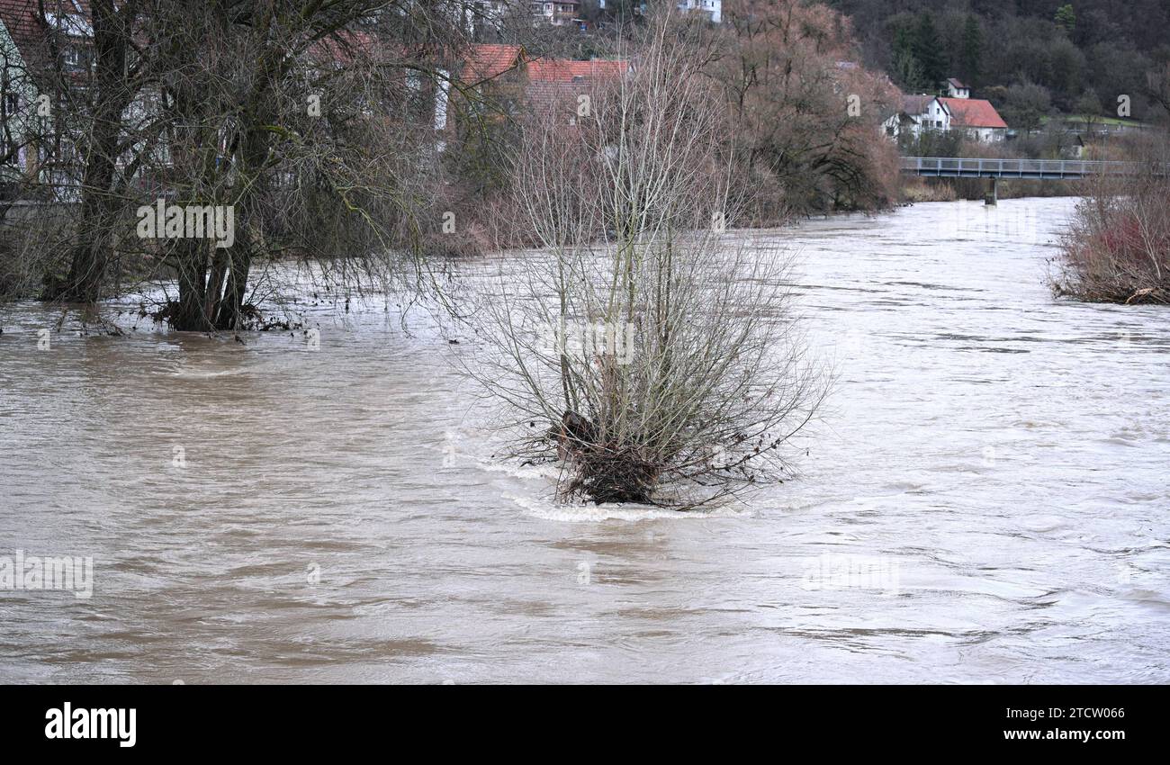 Rottenburg - Bieringen 13.12.2023 Schmuckbild, Wetterbild: Der Neckar mit Hochwasser in Bieringen an der Muendung der Starzel in den Neckar, bei die Buesche am Ufer, bei normalem Wasserstand, befinden sich jetzt in der Flussmitte. *** Rottenburg Bieringen 13 12 2023 foto decorativa, foto meteorologica il Neckar con acqua alta a Bieringen alla confluenza dello Starzel nel Neckar, con i cespugli sulla riva, al livello normale dell'acqua, si trovano ora nel mezzo del fiume ULMER Foto Stock