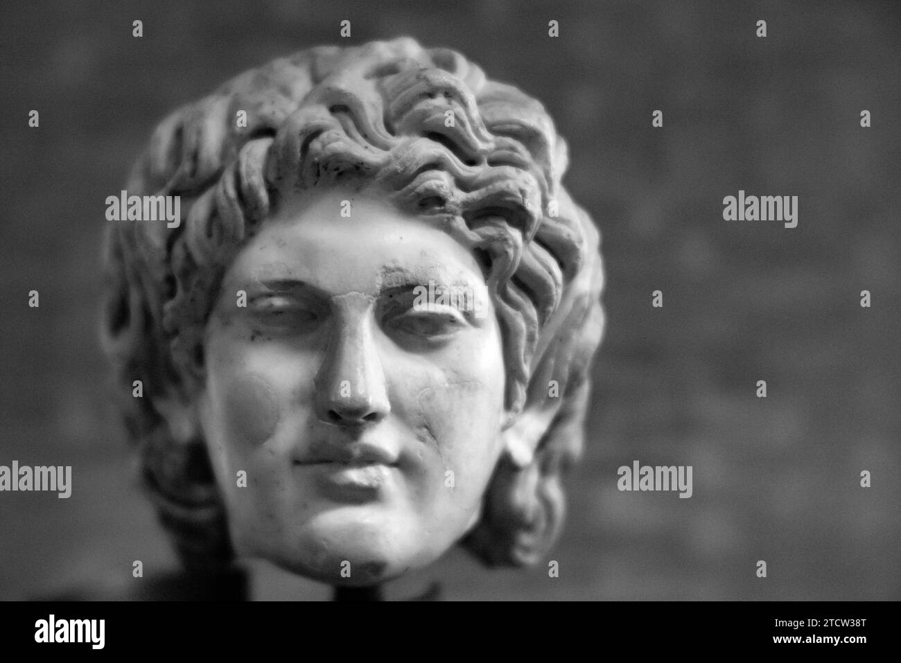 Statua all'interno del Vaticano, Roma, Italia Foto Stock