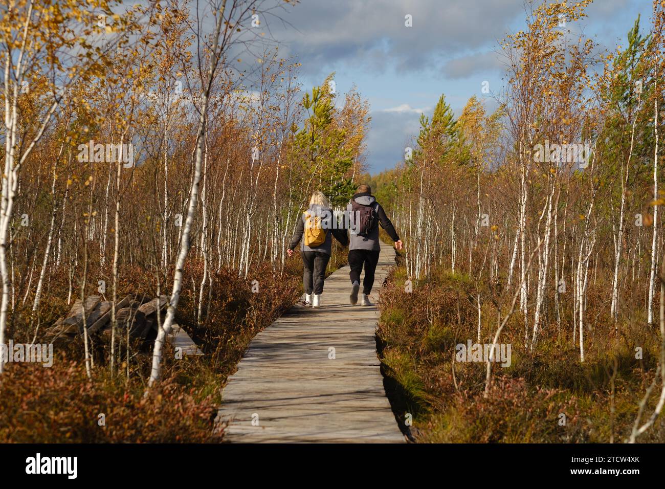 Due turisti camminano lungo un sentiero di legno in una palude a Yelnya, Bielorussia. Foto Stock