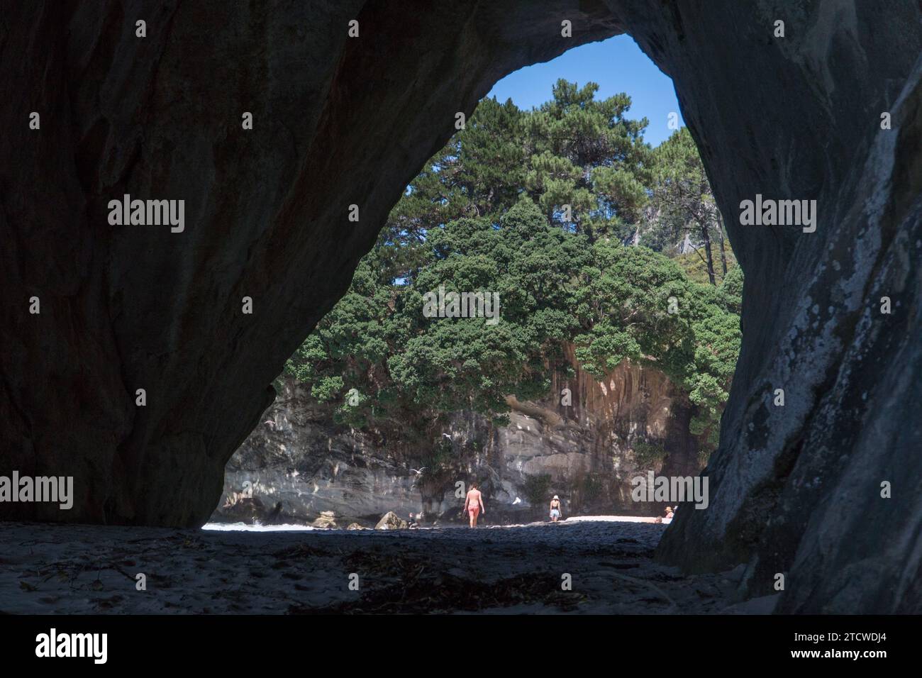 La grotta di Cathedral Cove in nuova Zelanda. Foto Stock