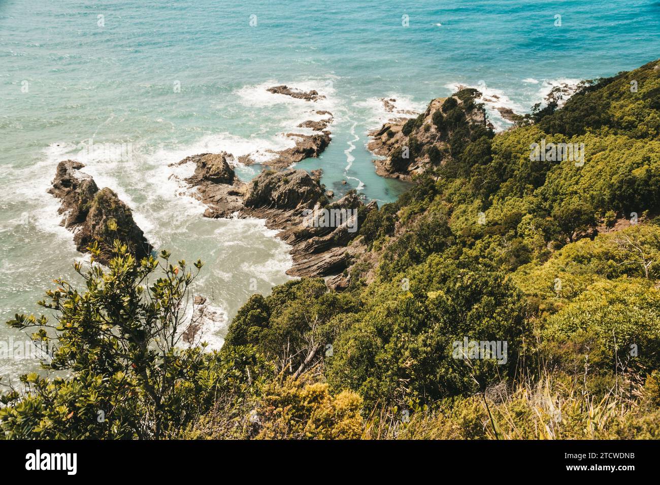 La spiaggia di Ohope in nuova Zelanda mostra spiagge, diverse formazioni rocciose, flora e fauna. Foto Stock