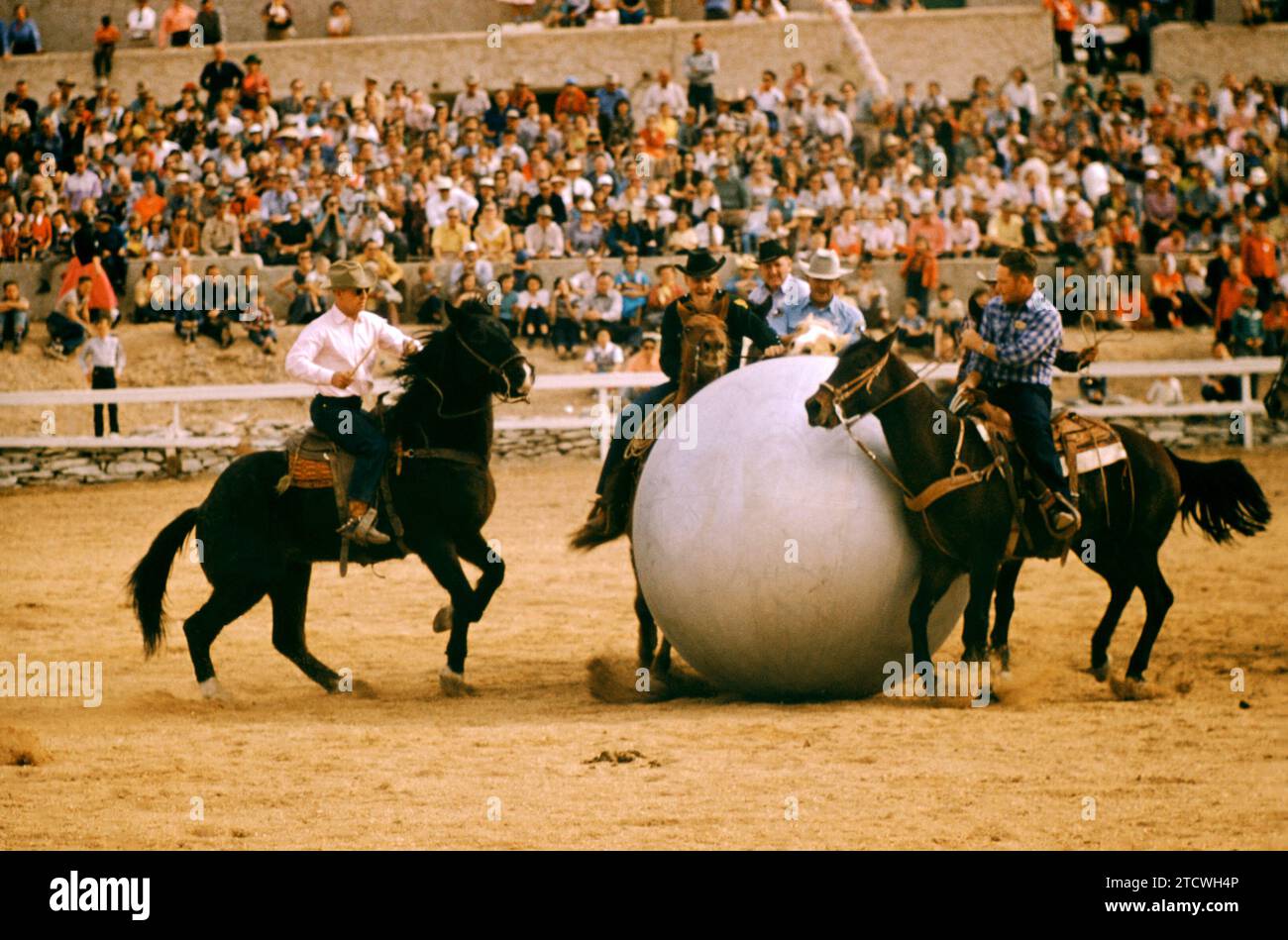 PHOENIX, AZ - Marzo 1955: vista generale come uomini su cavalli giocare horse soccer durante il sceriffo Rodeo circa nel marzo 1955 a Phoenix, in Arizona. (Foto di Hy Peskin) Foto Stock