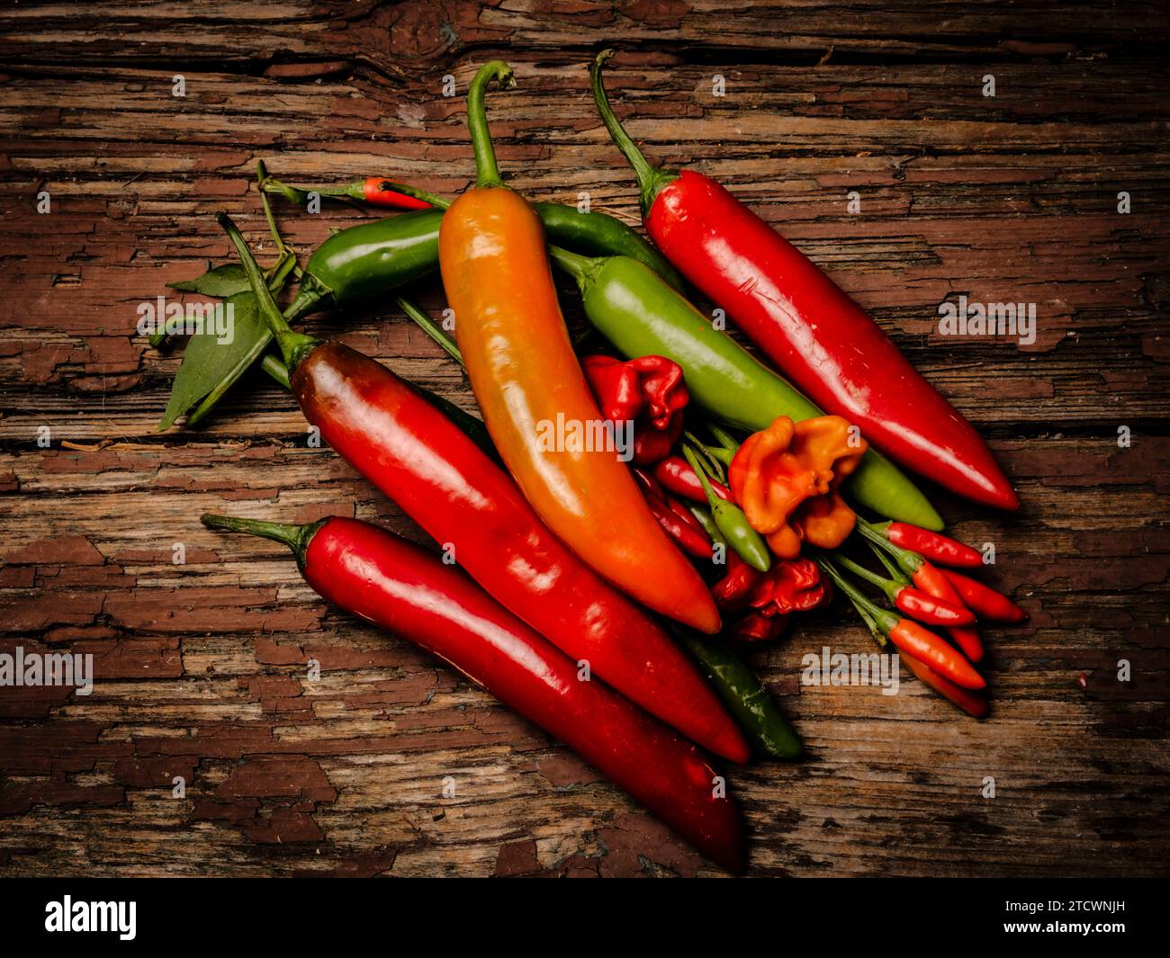 spezie calde Foto Stock