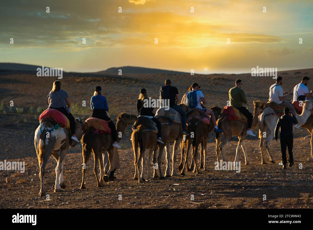 Giro in cammello nel deserto di Marrakech Foto Stock