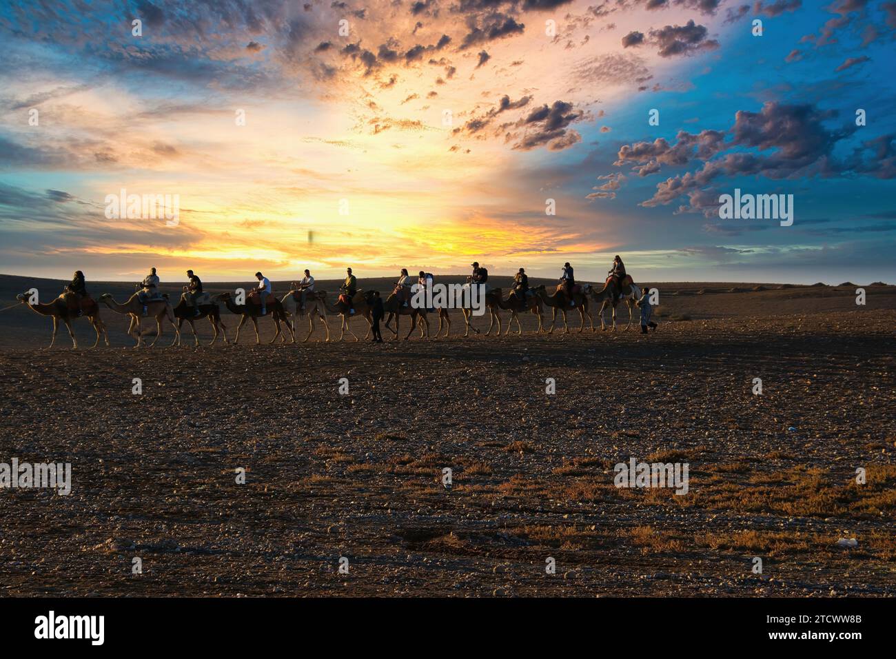Giro in cammello vicino a Marrakech nel deserto Foto Stock