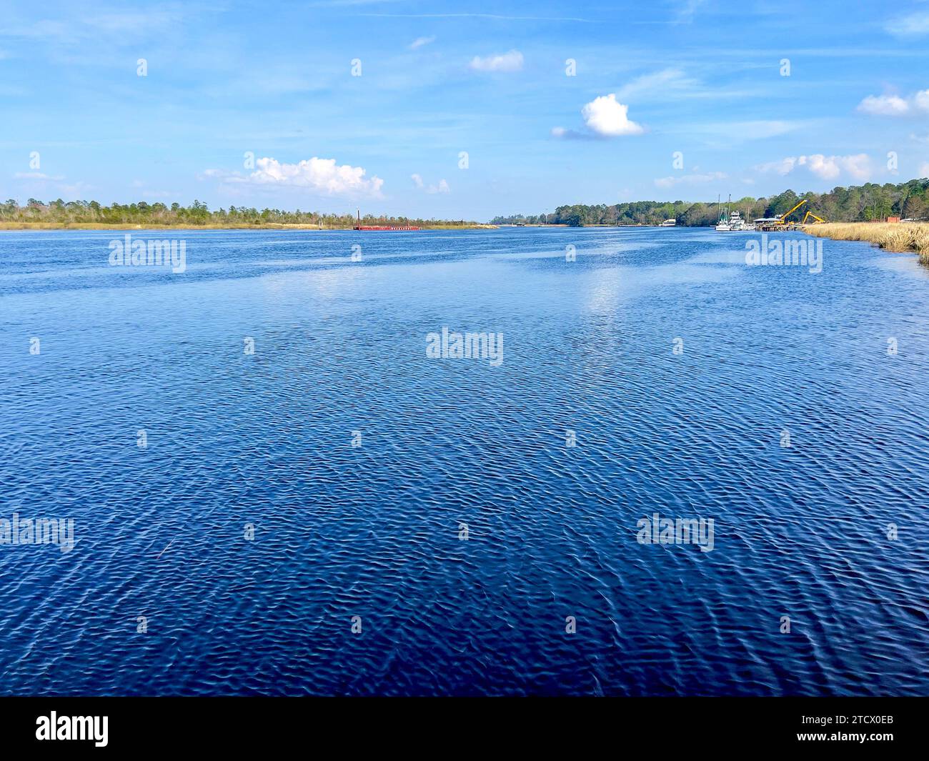 Il fiume Satilla in una splendida giornata di sole vicino Woodbine, Georgia, negli Stati Uniti. Foto Stock