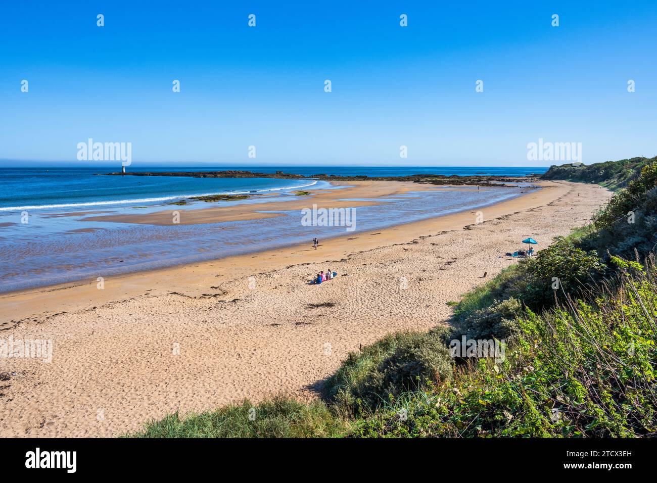 Vista a est attraverso le sabbie dorate di Seacliff Beach, East Lothian Coast, Scozia, Regno Unito Foto Stock