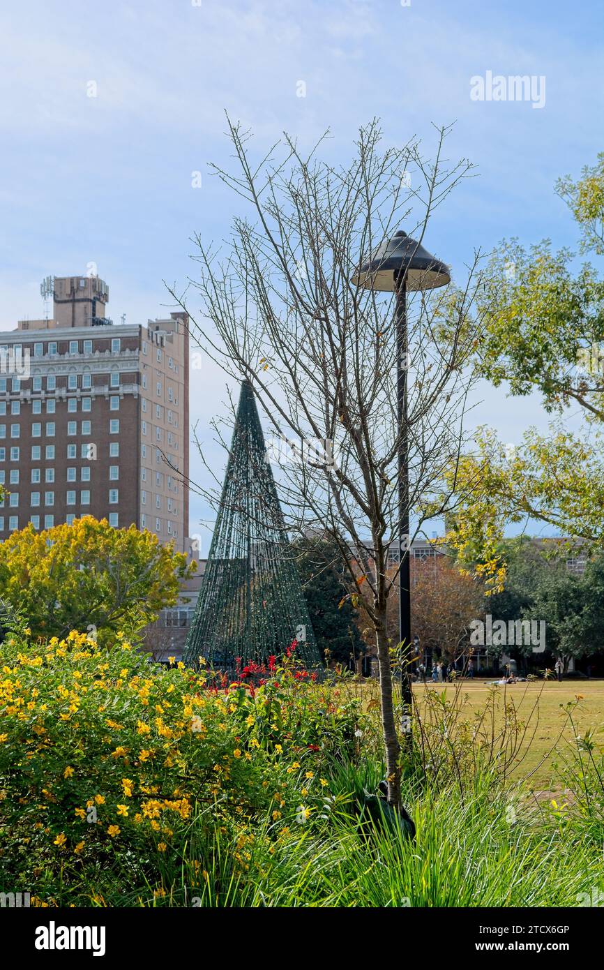 Albero di Natale stilizzato di Marion Square, ex Citadel Military College Parade Grounds, lontano Francis Marion hotel, Charleston SC -- novembre 2023 Foto Stock