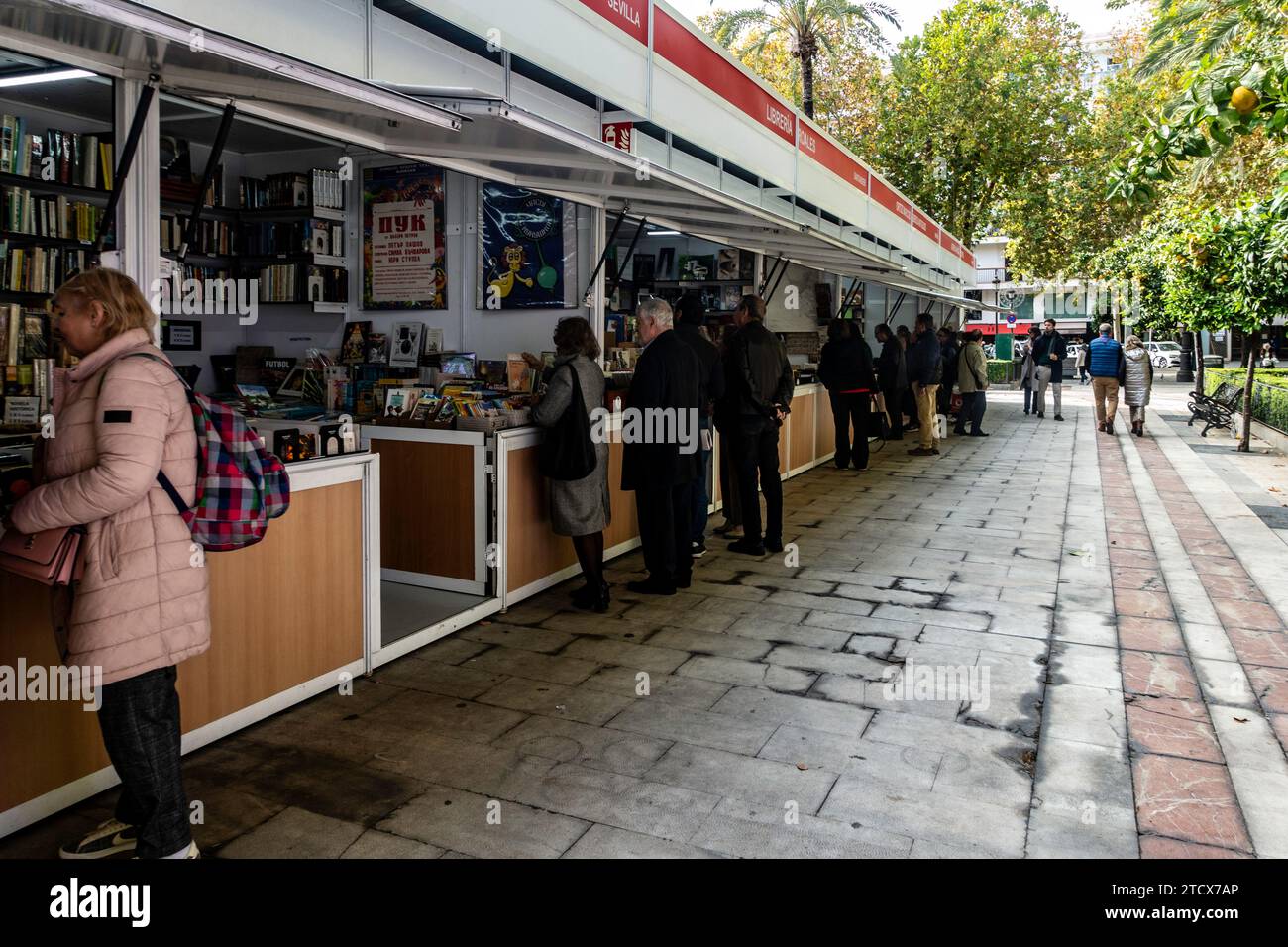 Gente che naviga in un vivace mercato di libri all'aperto su un marciapiede della città fiancheggiato da alberi a Siviglia, in Spagna. Foto Stock