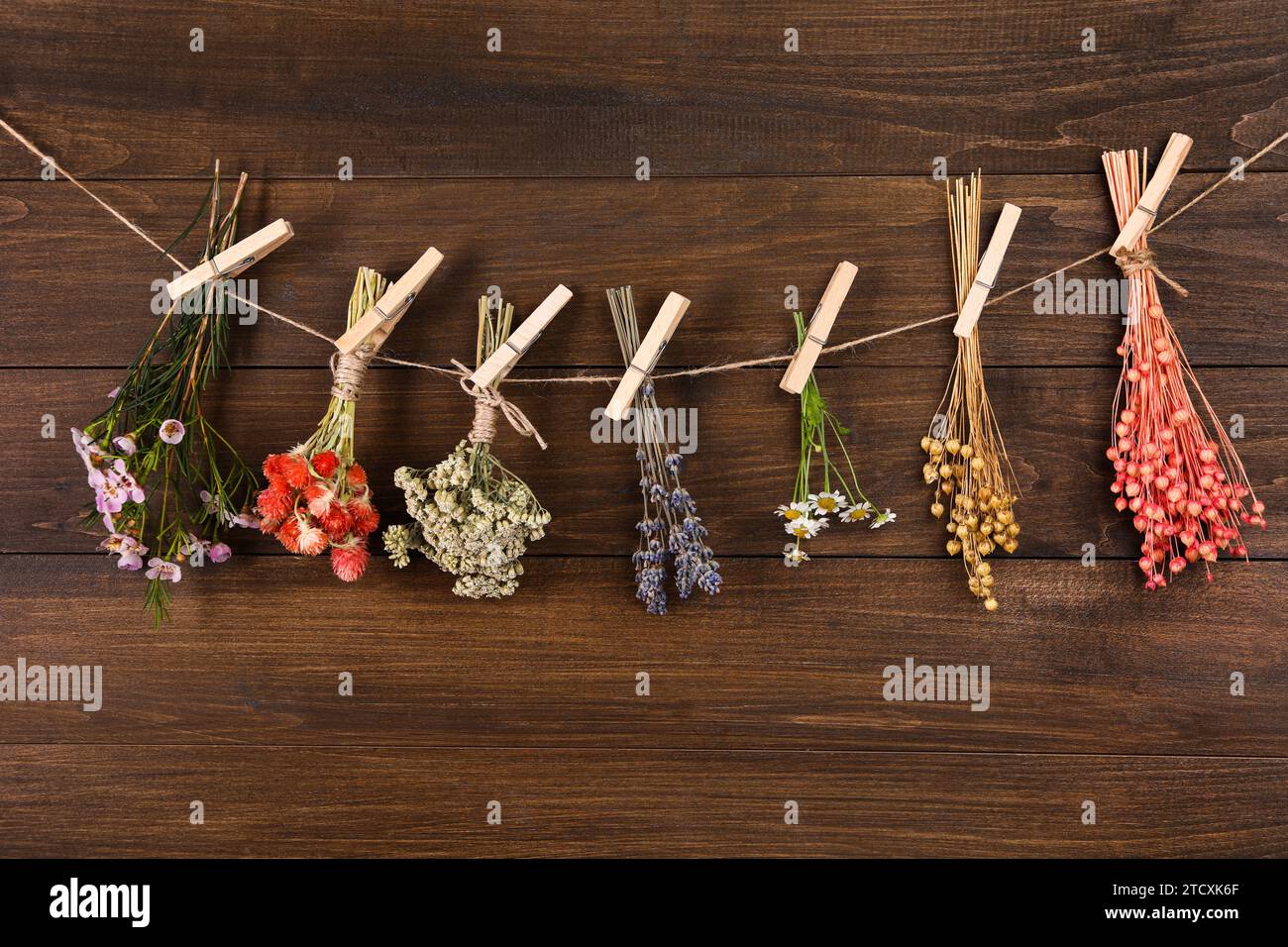 Molte piante secche e fiori diversi appesi su corda vicino a parete di legno Foto Stock