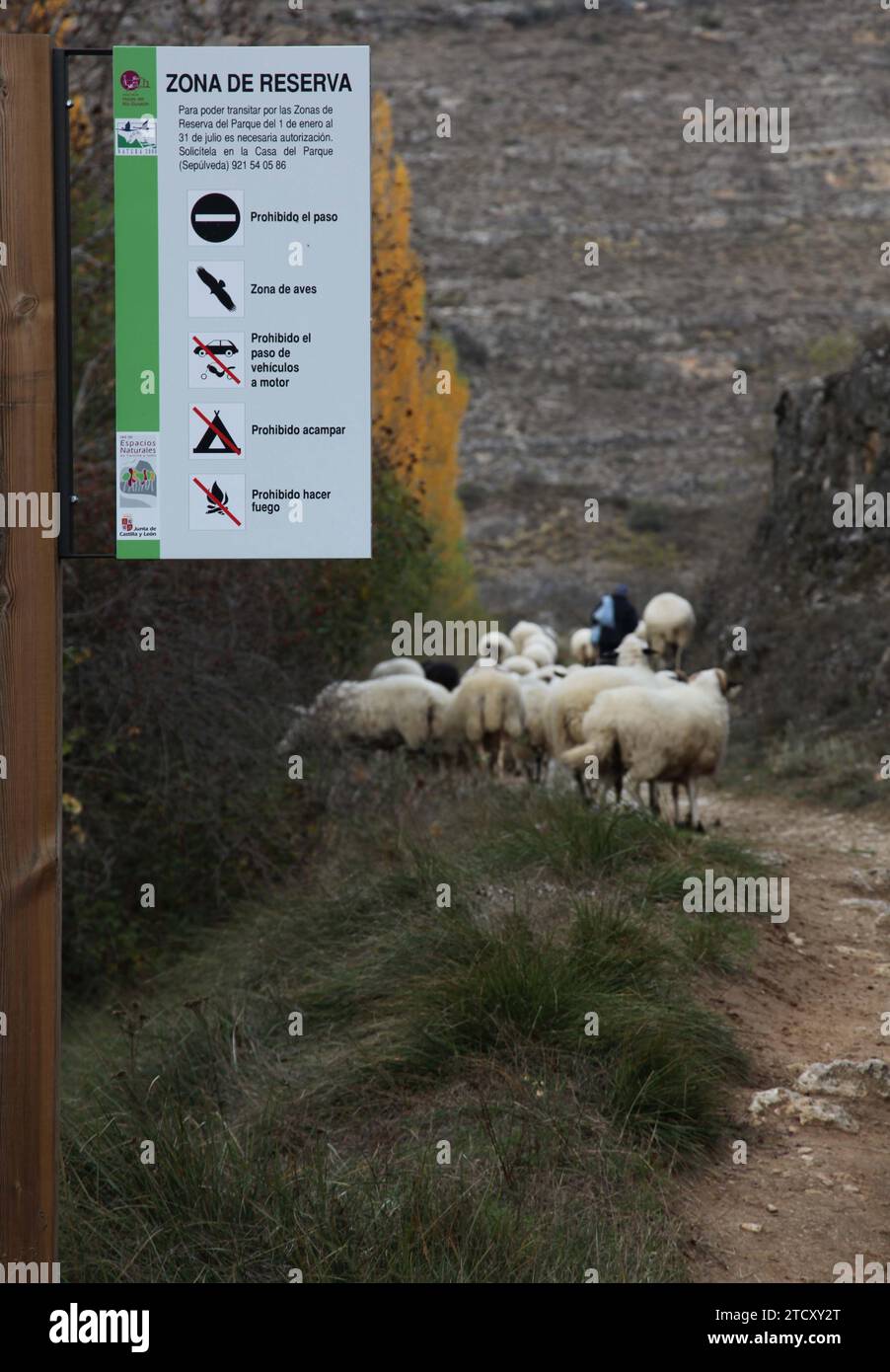 Segovia, 11/03/2009. Rete di sentieri nel Parco naturale Hoces del Río Duratón. Foto: Francisco Javier de las Heras. ARCHDC. Crediti: Album / Archivo ABC / Francisco Javier De Las Heras Foto Stock