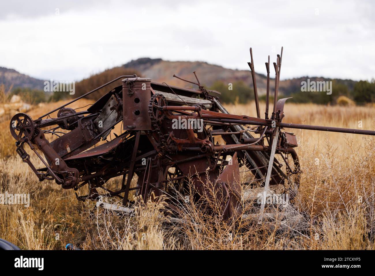 guasto di vecchie attrezzature agricole in un campo erboso Foto Stock