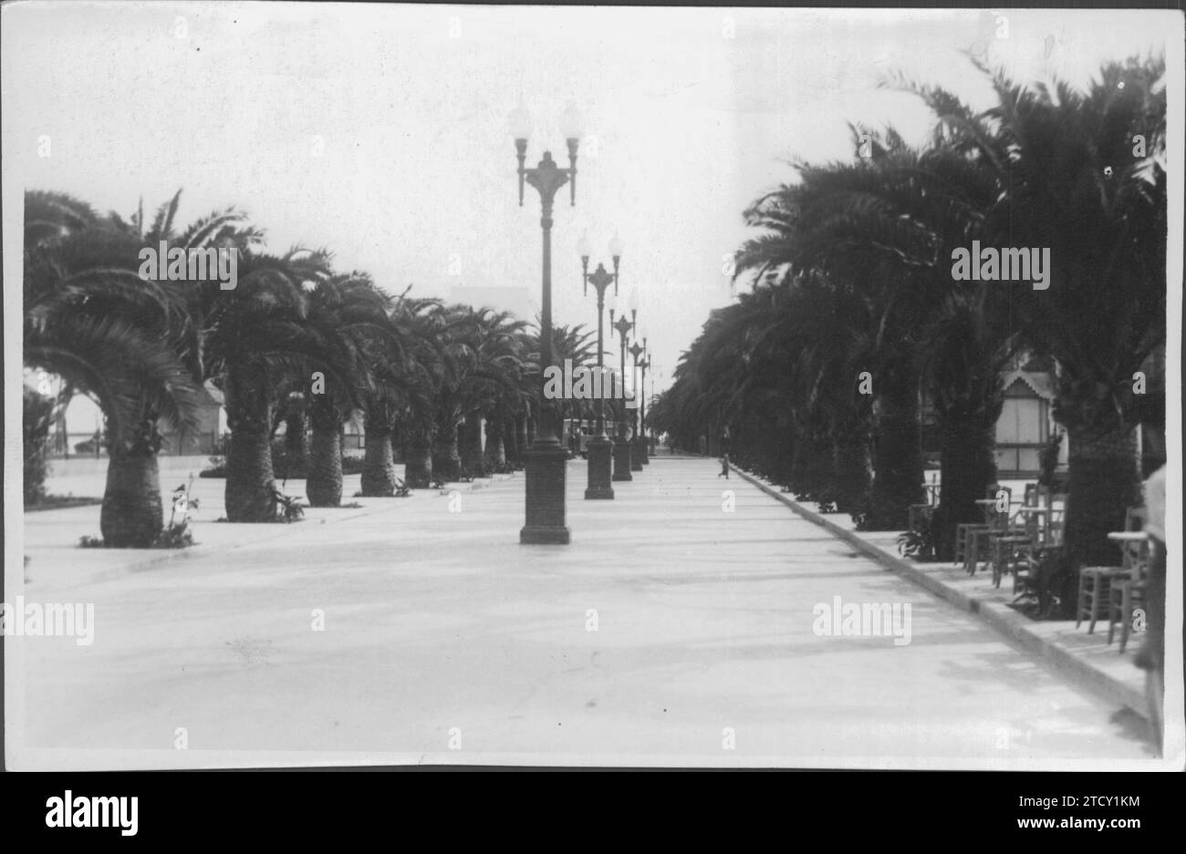 12/31/1949. Un aspetto del parco Calderón, nel porto di Santa María, Cádiz. Crediti: Album / Archivo ABC / Galán Foto Stock
