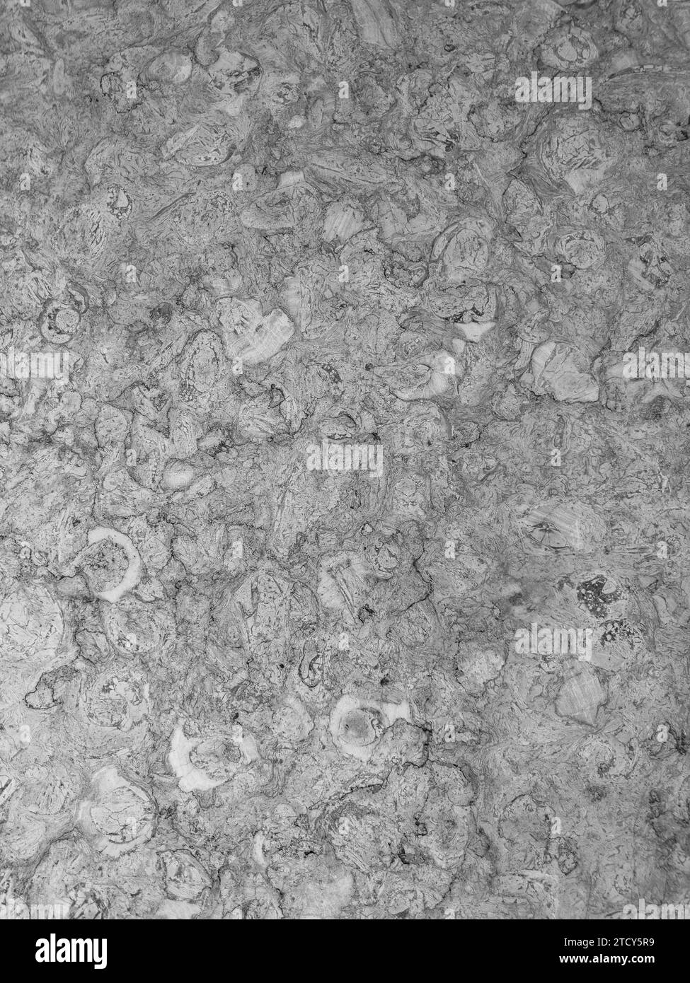 Fondo in marmo, pietra di marmo in lastra naturale italiana per la decorazione astratta degli interni interni piastrelle murali in ceramica e pavimenti in piastrelle sur Foto Stock