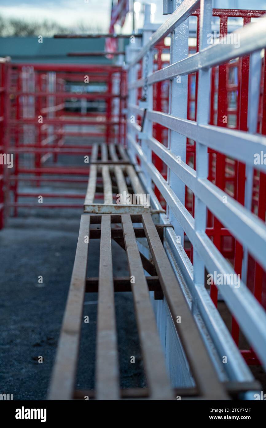 Gli scivoli da equitazione sono pronti per i tori a un rodeo in una giornata di sole Foto Stock