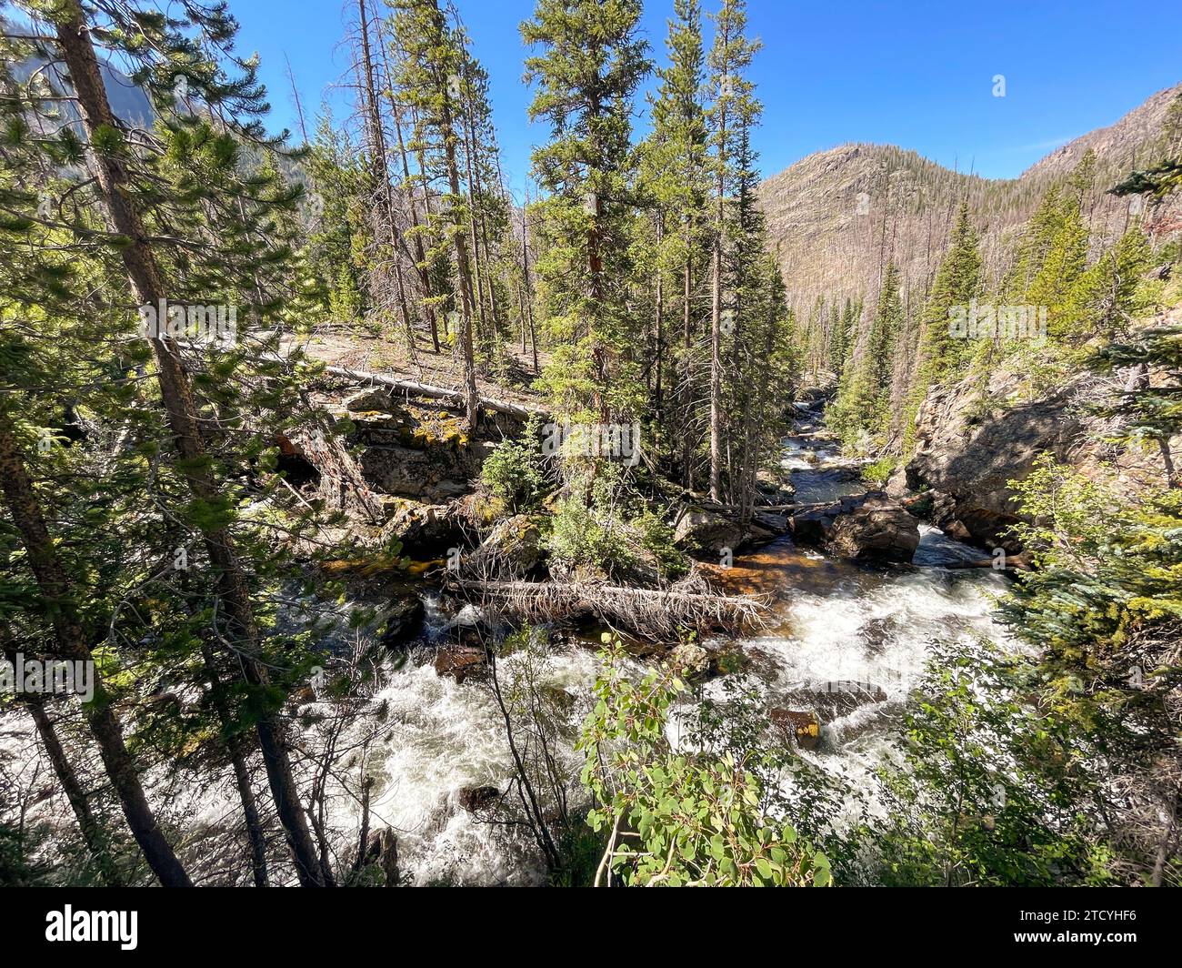 Le acque scintillanti si snodano attraverso una valle ricoperta di pini nel Parco Nazionale delle Montagne Rocciose, una testimonianza dello splendore della natura. Foto Stock