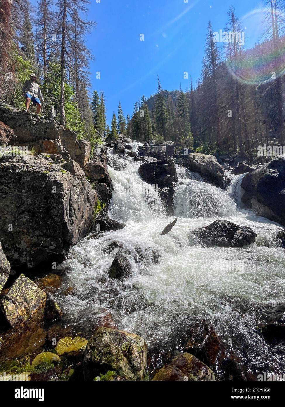 Un avventuriero apprezza la vista delle Cascade Falls, un vivace paradiso all'interno del Parco Nazionale delle Montagne Rocciose. Foto Stock
