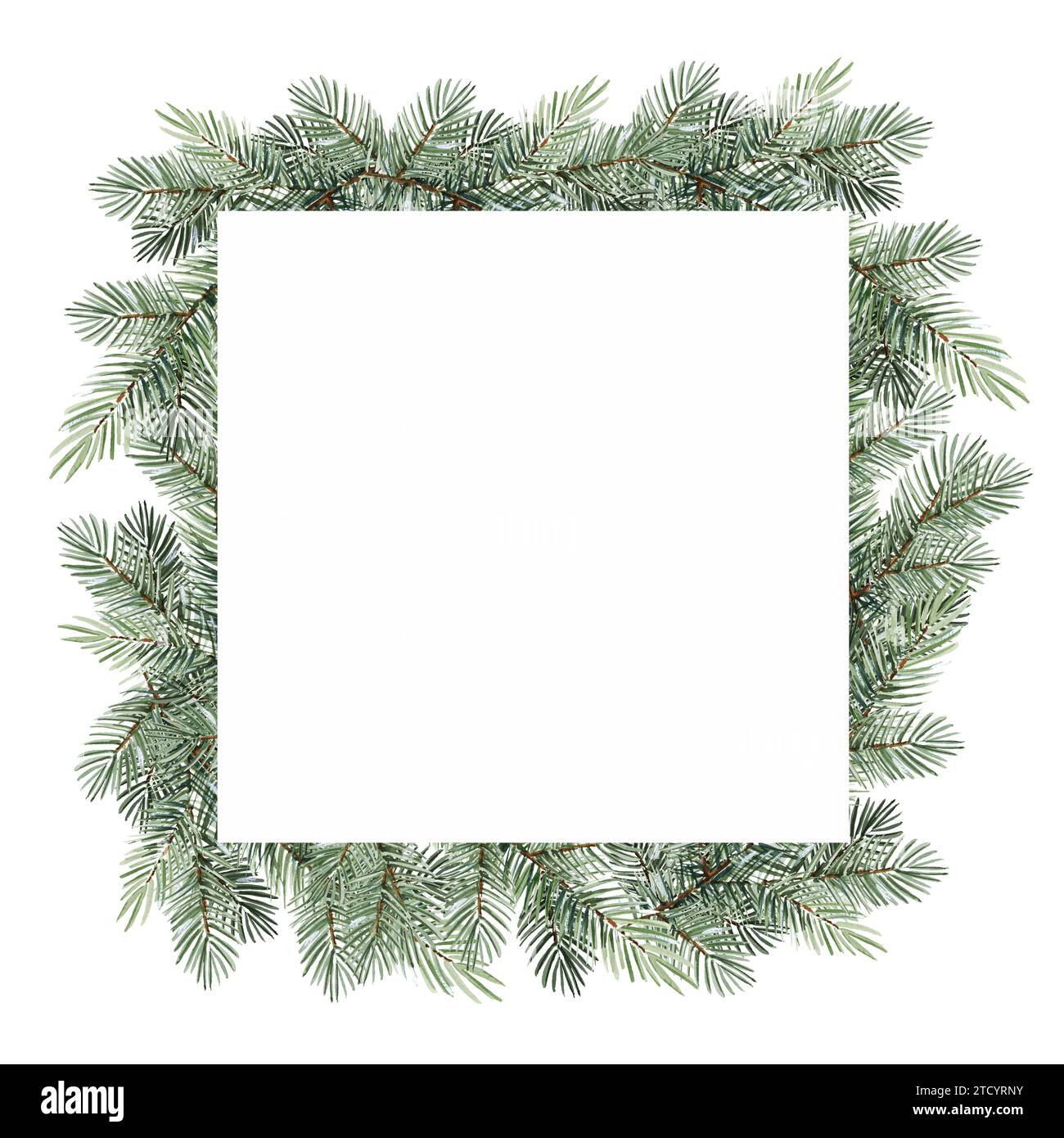 Cornice quadrata ad acquerello con rami di conifere, albero di Natale, disegno a mano di rami di abete verde, rami di pino naturale su sfondo bianco, na Foto Stock