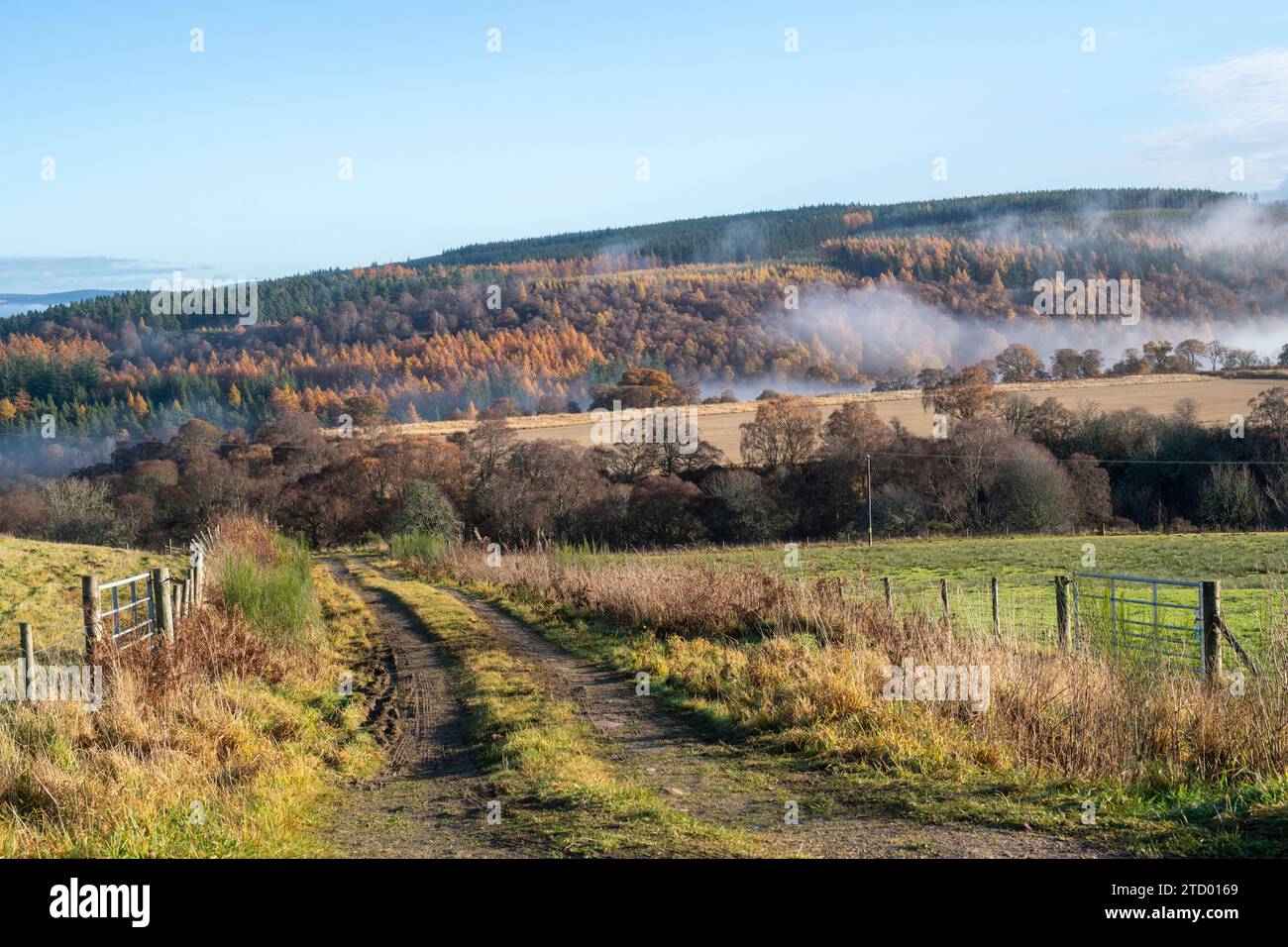 Nebbia lungo il fiume Spey a novembre. Morayshire, Scozia Foto Stock