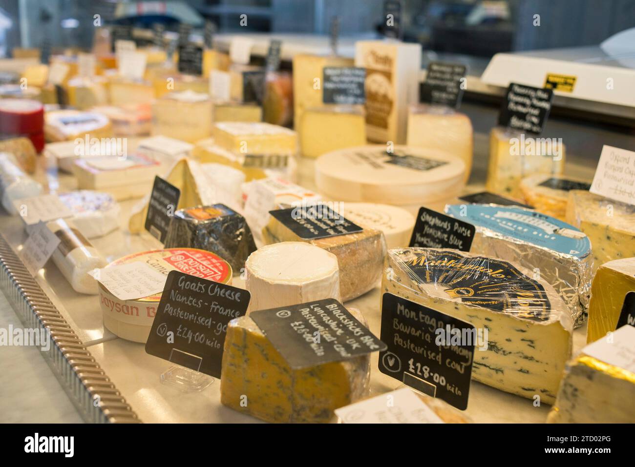 Un banco di formaggi in un negozio specializzato di alimentari locali con una grande esposizione di formaggi. Foto Stock