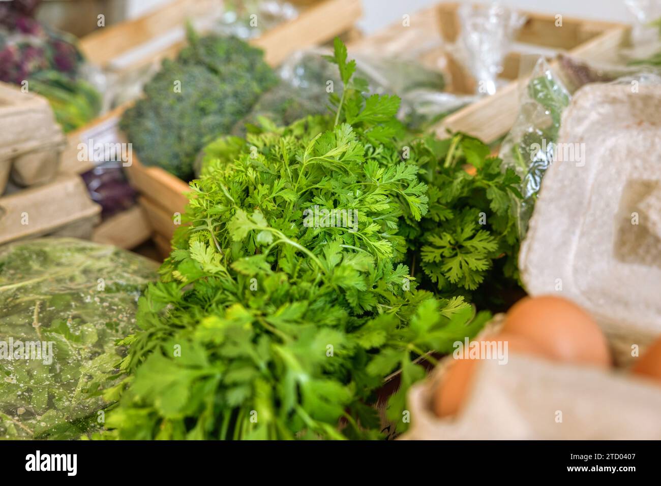 mercato agricolo, prezzemolo, uova ed erbe fresche in un mazzo colorato di verdure fresche e proteine Foto Stock