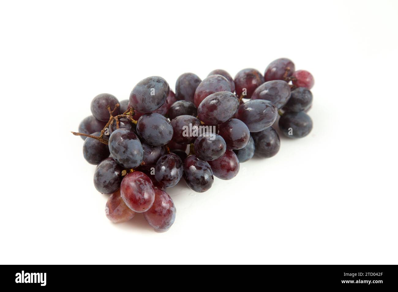 Grande mazzo di uva blu scuro maturo isolato su fondo bianco. Uva da vino viola con ombra morbida isolata sul bianco. Foto Stock