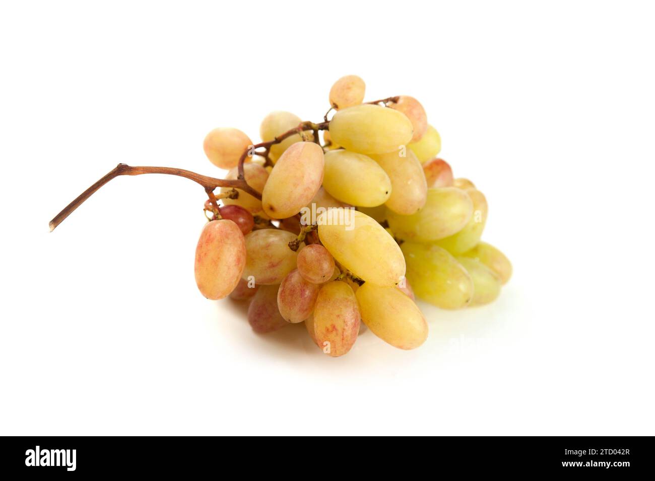 Grappolo di uva da vino rosa con ombra soffice isolata su fondo bianco. Foto Stock