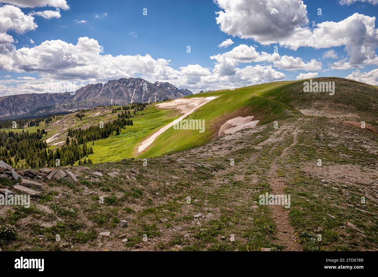 Sentiero escursionistico lungo Elliott Ridge, Colorado Foto Stock