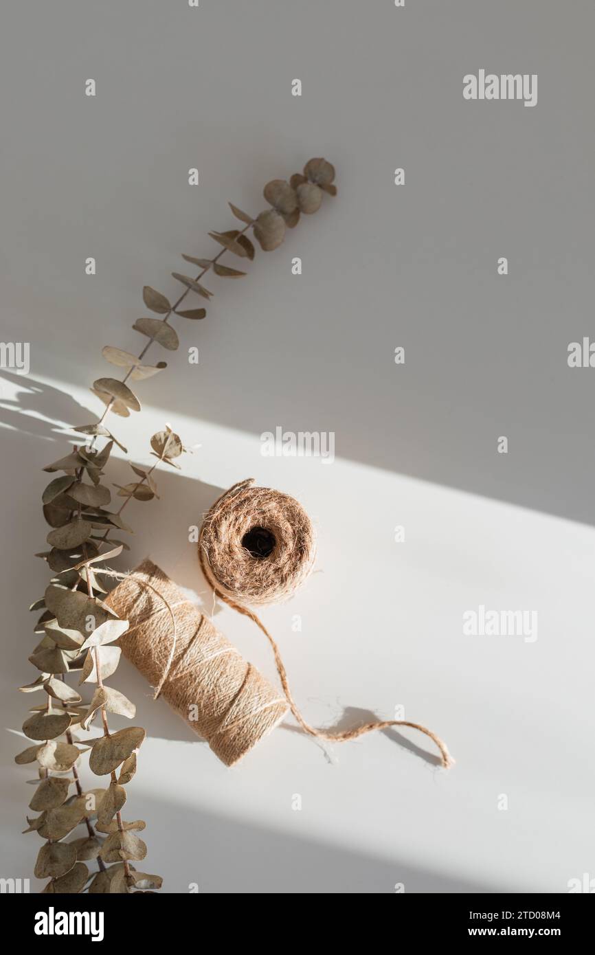 Confezione minimalista con eucalipto e spago Foto Stock