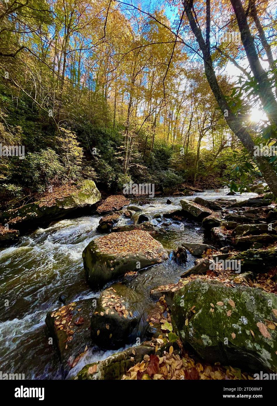 L'acqua scorre attraverso il Babcock State Park Foto Stock