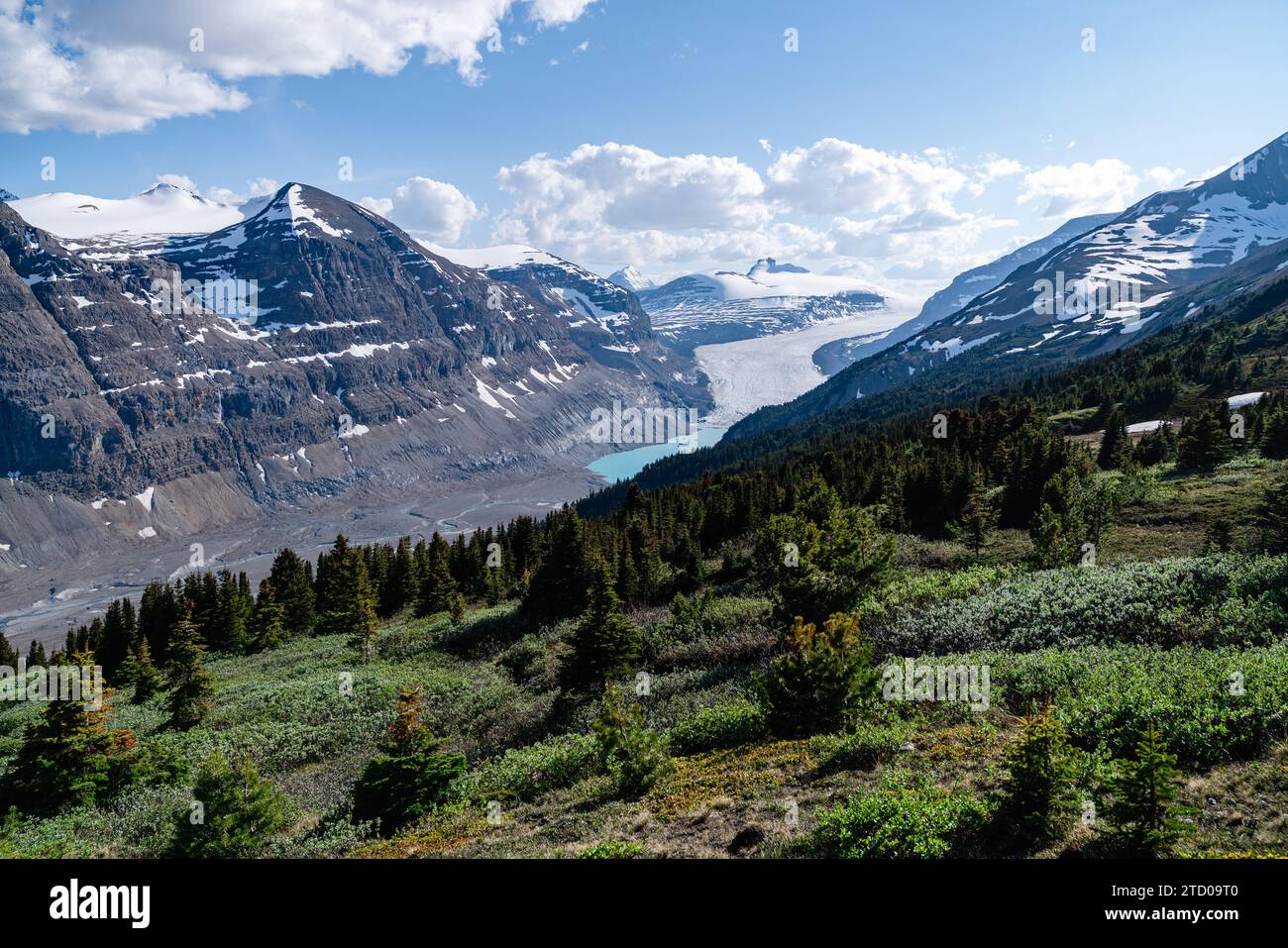 Splendida vista sulle montagne da Parker Ridge Foto Stock