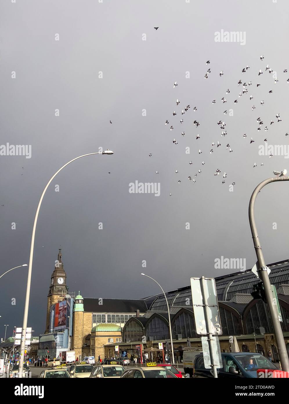 Piccione domestico, piccione selvatico (Columba livia F. domestica), gregge di piccioni urbani che volano alla stazione centrale di Amburgo, Germania, Amburgo Foto Stock