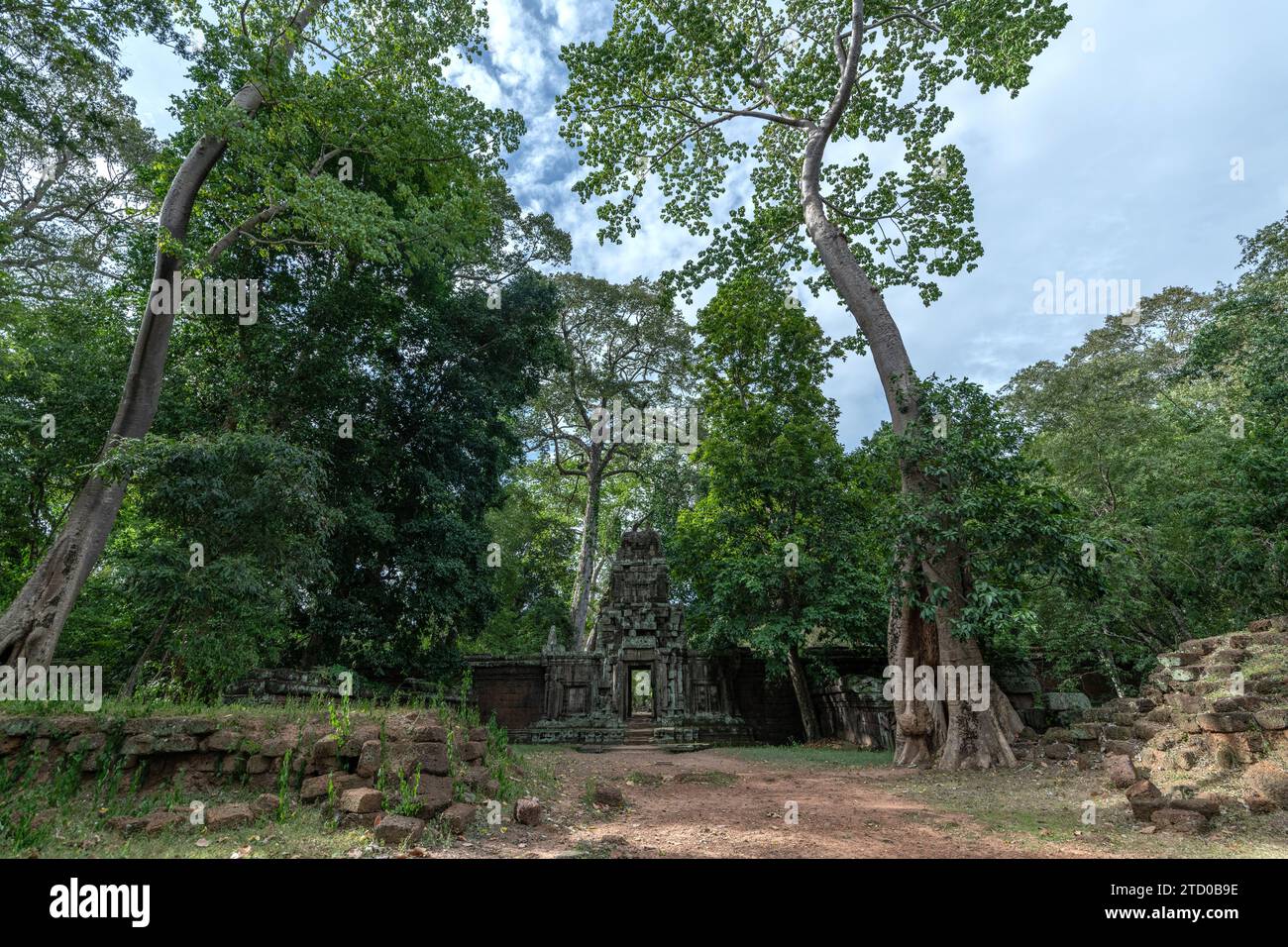 Una vista serena delle antiche rovine del tempio Khmer avvolti dalla lussureggiante giungla cambogiana, che illustra una miscela di archeologia e natura. Foto Stock