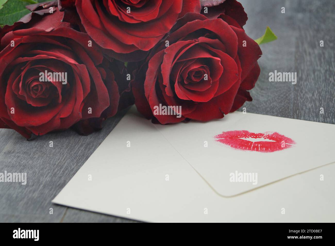 Tè ibrido (Rosa odorata hybrida), rose di baccarat con busta con stampa di labbro rosso Foto Stock