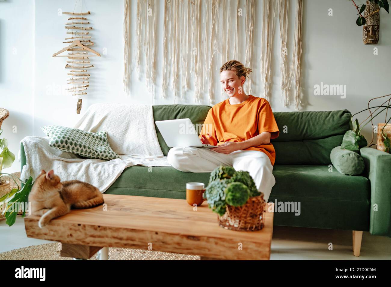 Giovane freelance sorridente e al lavoro sul progetto seduto su un comodo divano con cuscini a casa vicino all'adorabile British shorthair Golden Foto Stock