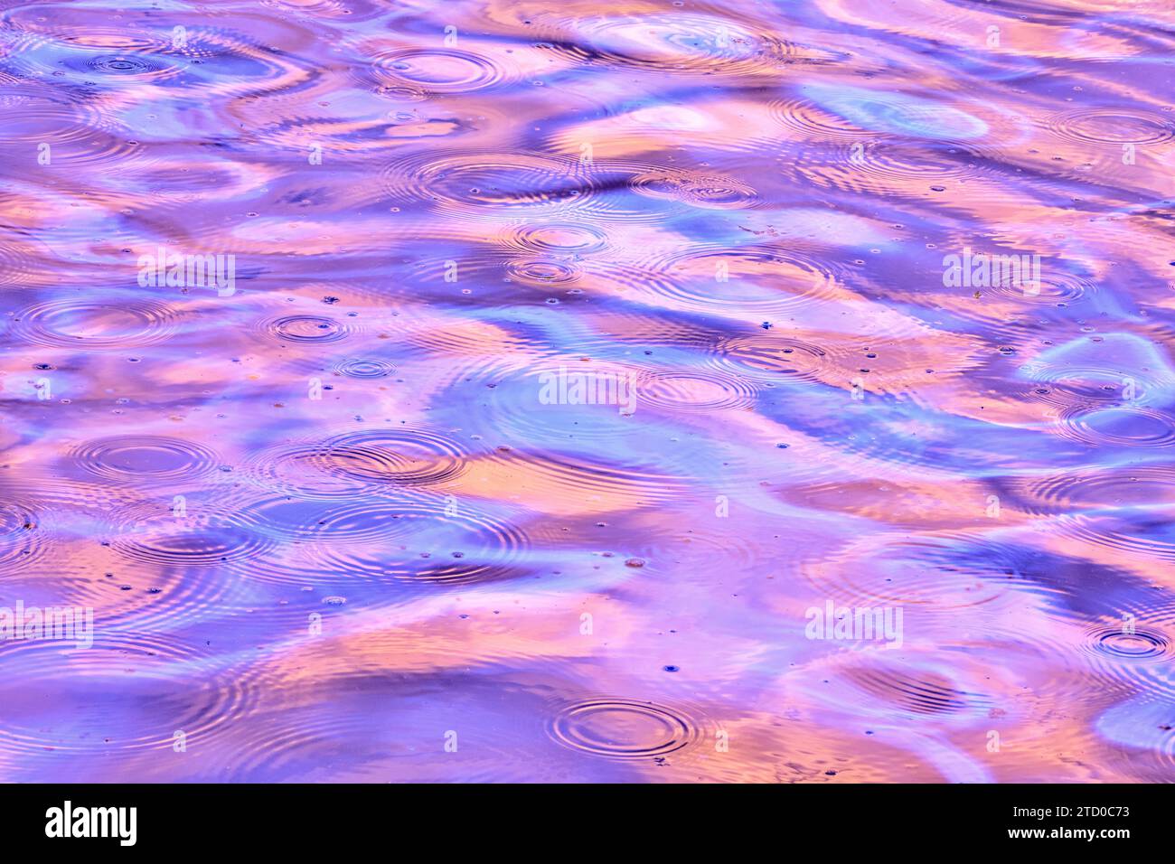 Una scena tranquilla caratterizzata da increspature su una superficie d'acqua, inondata di tonalità surreali di viola e rosa che riflettono una fonte di luce invisibile. Foto Stock